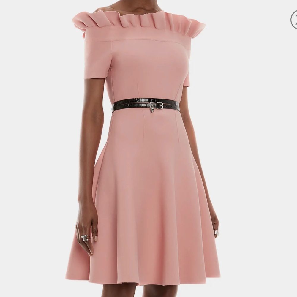 Alexander McQueen Off the Shoulder Skater Dress NWT - Picture 3 of 8